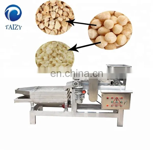 Taizy Straight Knife Nut Chopper Crushing Machine Almond Chestnut Cutting Machine Peanut Chopping Machine photo-6