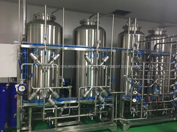 Pasteurization PW System , Pipe Loop, EDI for Pharmaceutical Equipment photo-5