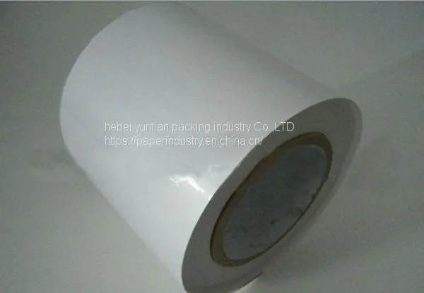 Pet Pvc Cosmetic Packing Sticker Label, Waterproof Adhesive Skin Care Label Printing Roll Sticker photo-4