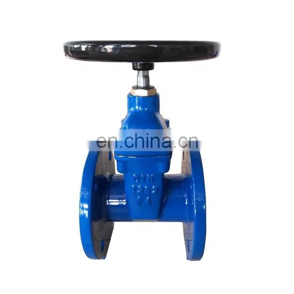 DIN3352 Ductile Cast Iron di Dn80 Pn16 Resilient Seat Hand Wheel Double Flanged Gate Valve photo-2