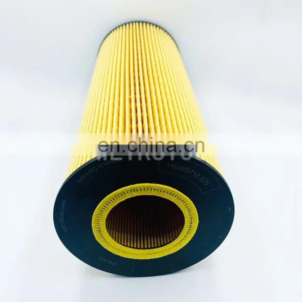 Diesel Engine Oil Filter E13HD47 HU1381X photo-4