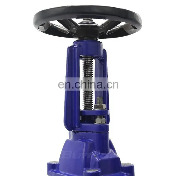 Bundor 6 Inch 3 Inch Pn16 Pn25 Forged Steel Carbon Steel Rising Stem Water Gate Valve Manual Slide Gate Valve photo-3