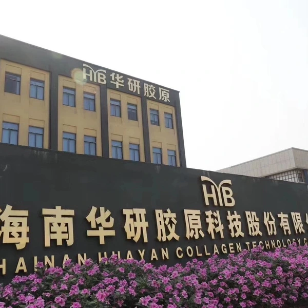 Hainan Huayan Collagen Technology Co., Ltd company overview - view 2