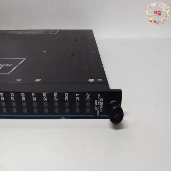 TRICONEX 3625 Analog Input Module photo-2