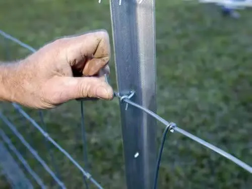7 ft Height Heavy Duty Studded Y Post With Spade Studs Galvanized Steel Y Fence Post photo-6