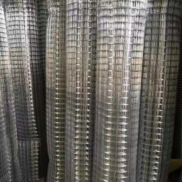 Galvanized+PVC Coated Welded Wire Mesh Rolls - Square Hole Design photo-2