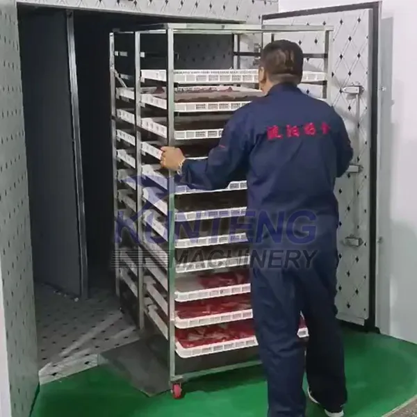 Energy Saving Heat Pump Drying Machine for Fish Processing Shrimp Sausage Drying Oven photo-5