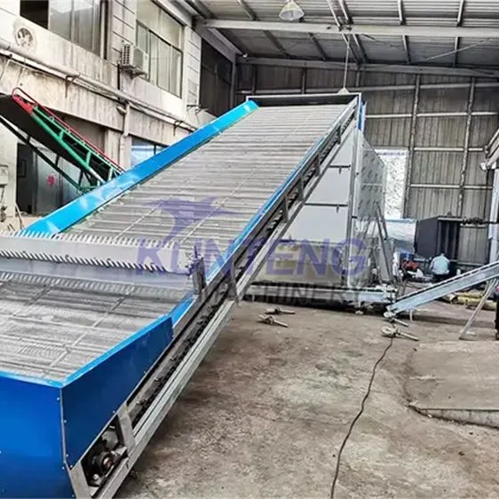 Automatic Continuous Garlic Onion Turmeric Powder Drying Production Line Dried Ginger Powder Machine photo-4