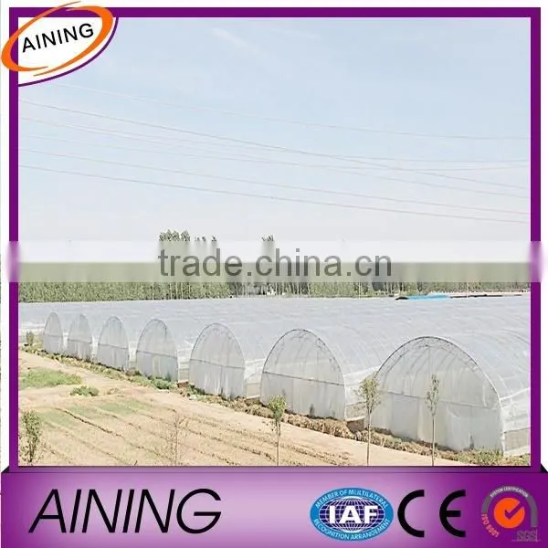 Plastic Film Multi Span Greenhouse for Tomato Vegetable and Flower Greenhouse Hot Sale Greenhouse for Farming photo-3