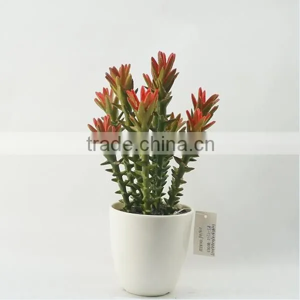 Unique Design Artificial Plants Artificial Succulent Bonsai