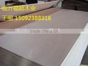 Hot Sell Best Quality Packing Grade Poplar Plywood photo-3