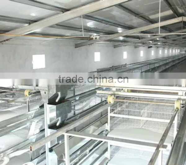 Poultry Farming Equipment Meat Broiler Cage for Steel Chicken House photo-5