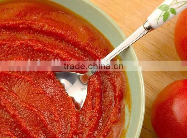 Canned Foods Wholesale,70G-3000G Canned Tomato Paste, Brix: 28-30% photo-4