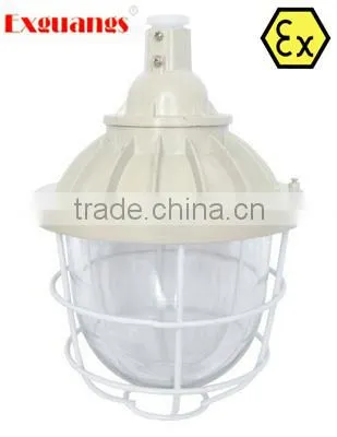 Lowest Price Professional Explosion Proof Lamp