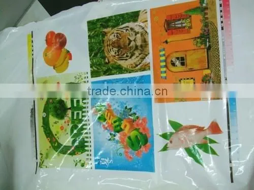 YT-6800 Roll to Roll Plastic Film Flexo Printing Machine photo-2