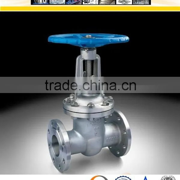 F304 150Lbs/300Lbs Stainless Steel Gate Valve photo-4