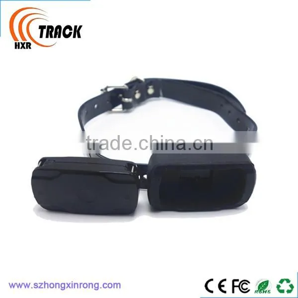 Worlds Smallest Gps Tracking Device for Pets and Kids photo-5