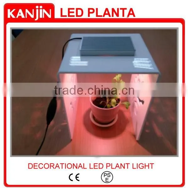 LED PLANT GROW LIGHT