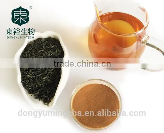 100% Natural Instant Green Tea Leaf Extract Tea Polyphenols