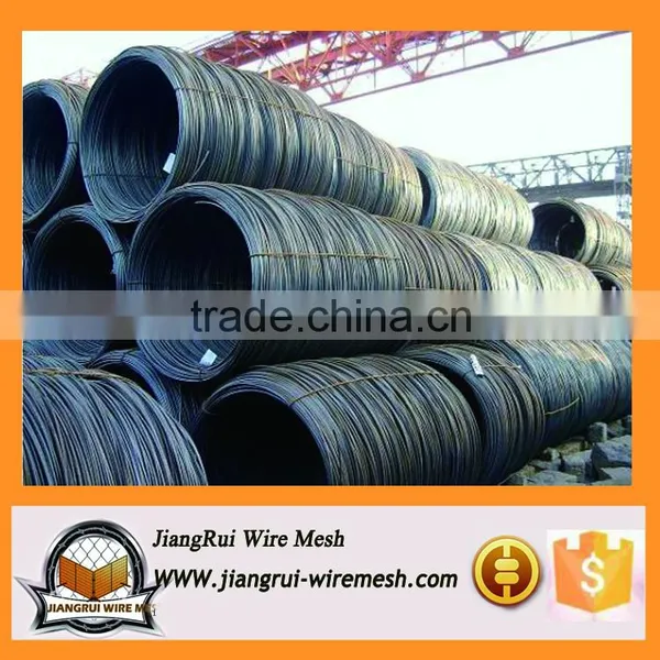 316L 304 Stainless Steel Wire / Stainless Steel Wire in Coil (factory Price) photo-4