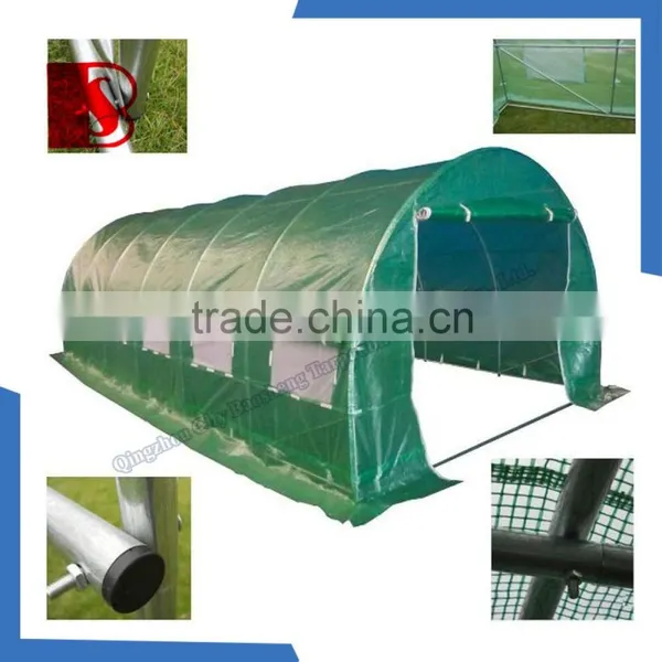 Focus Garden Tunnel Dome, High Quality Greenhouse for Sale photo-4