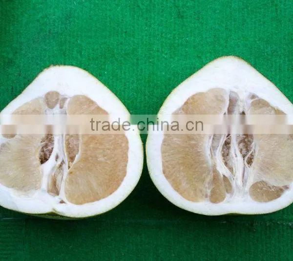 Pomelo Fruit for Pomelo Juice for Sale photo-6