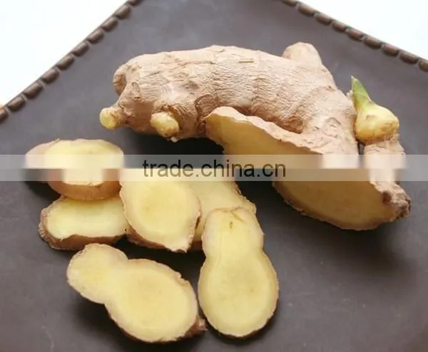 Wholesale Organic Common Cultivation Type Fresh Ginger photo-3