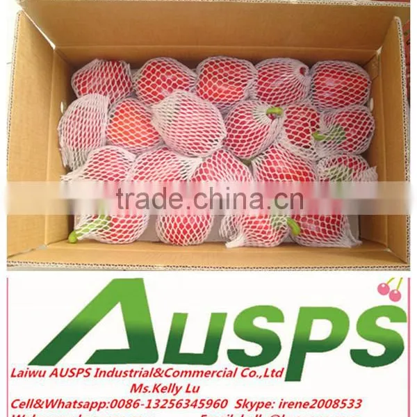 Red Capsicum photo-4