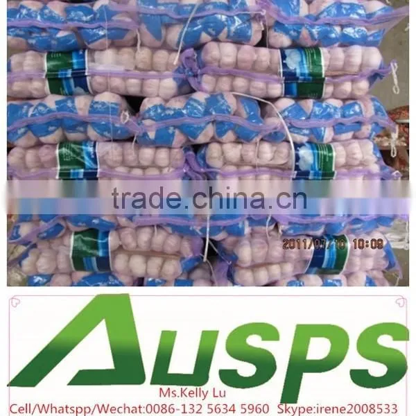 Fresh Dry Garlic photo-2