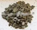 AA Grade Pumpkin Seeds Kernels photo-6