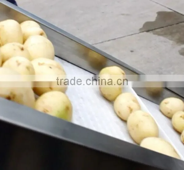 Full Automatic High Efficiency Cucumber Packing Sealing Machine photo-6
