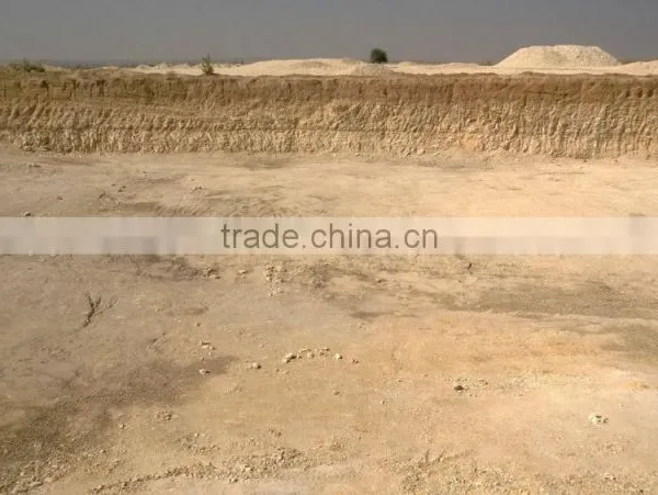 Diatomaceous Earth Powder photo-3