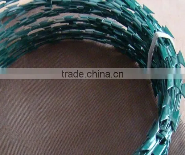 Wholesale BTO-22 Powder Coated Razor Barbed Wire photo-4