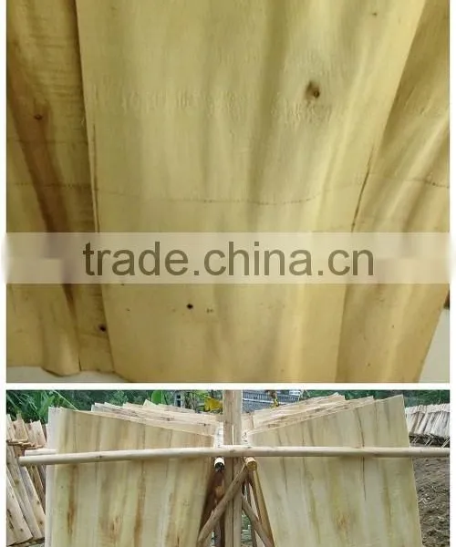 Acacia Rotary Veneer for Malaysia Market photo-5