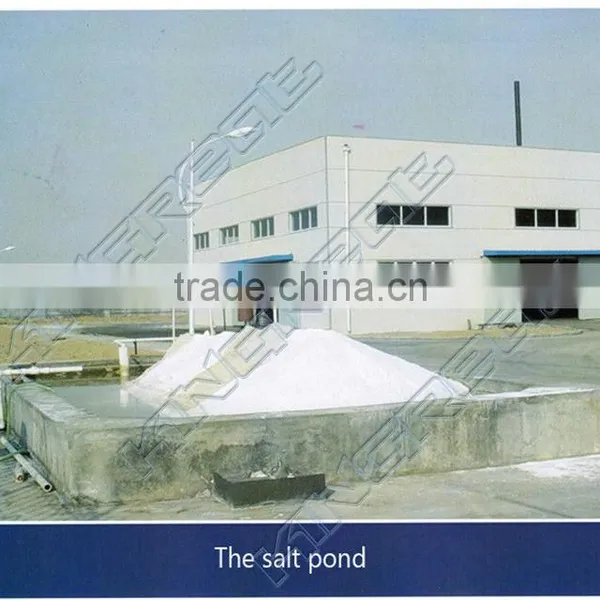 Different Field Use Considerable Capacity Complete Salt Production Line photo-2