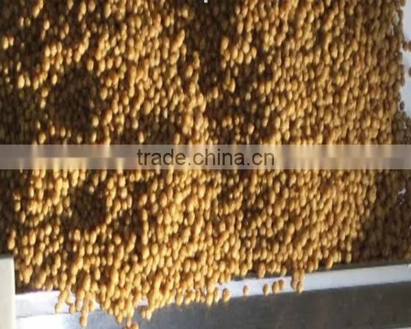 Professional Supplier of Fish Food Making Machine/floating Fish Food Machine photo-2