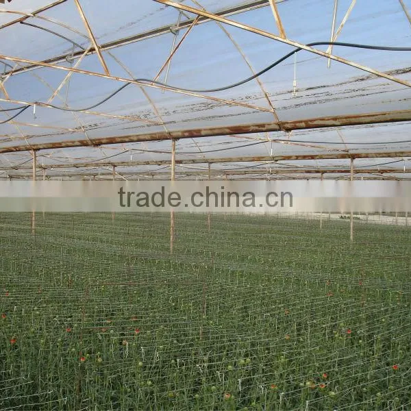 Blowing Molding, Multi-span, Tunnel PE Material, Agricultural Greenhouse Film Manufacturer photo-3