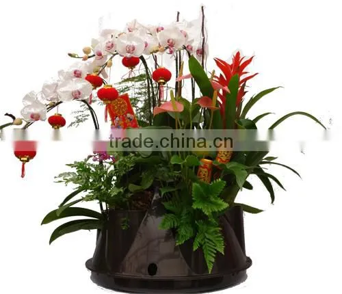 Wholesale Home Decor Vertical Garden Planters