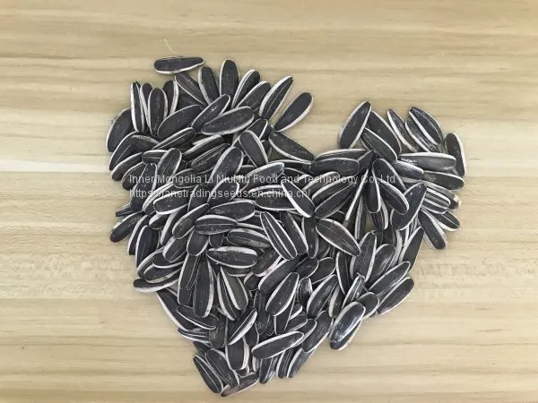 High Quality Sunflower Seeds From Inner Mongolia photo-2