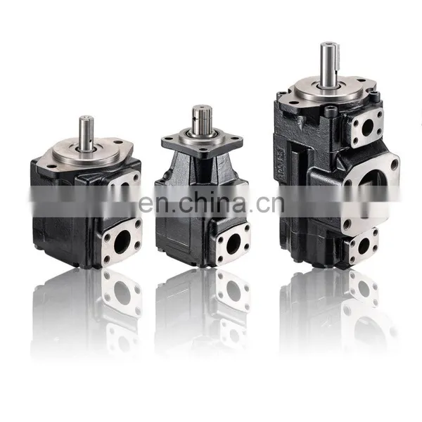 Single Double High Quality Vane Pump T6C T6D T6E T7DS T7BS Denison Parker Hydraulic Pump photo-2