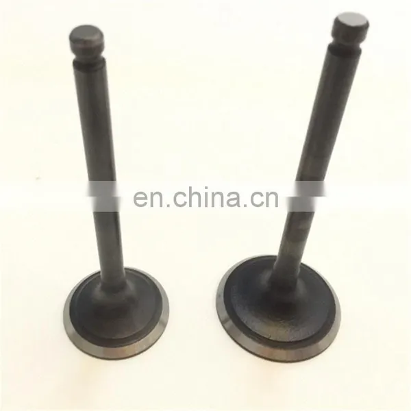 Racing Moped Bikes Spare Parts For Yamaha Jog Scooter 3kj Rr R 50cc 90cc 100cc Engine Valves photo-4