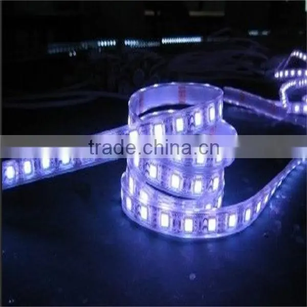 2016 Hot Sales DC12V Dimmable 60LED per Meter IP65 Waterproof Flexible Led Stripe Warm White SMD 5050 Led Strip Light photo-3