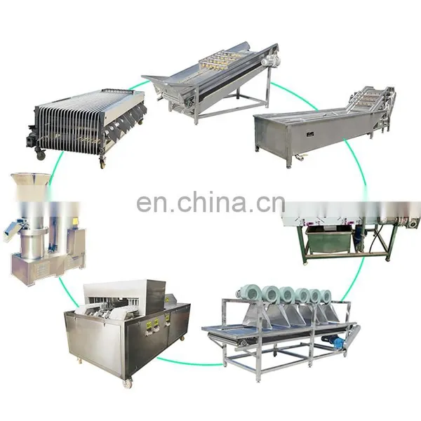 Palm Dates Processing Line Production Line Cleaning Washing Drying Machine photo-4