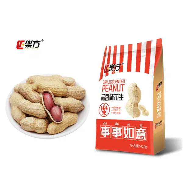 HACCP Certificate Nuts Snacks Roasted Peanuts With Garlic Flavor Wholesale Cheap And Provide OEM Service