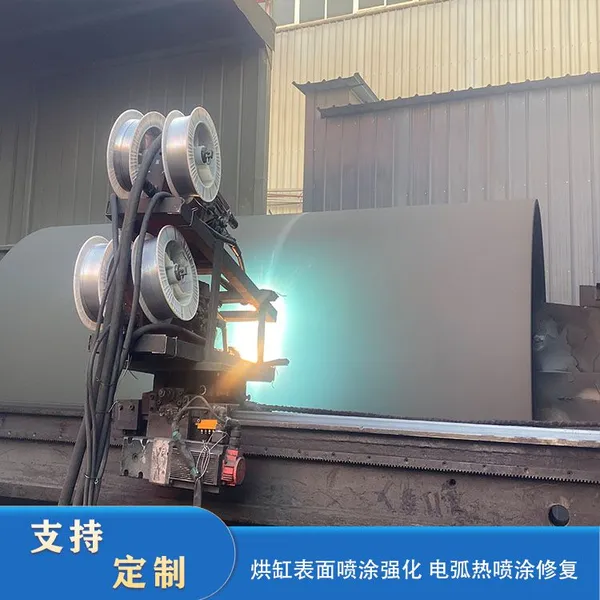 Dryer Surface Coating Customization photo-4