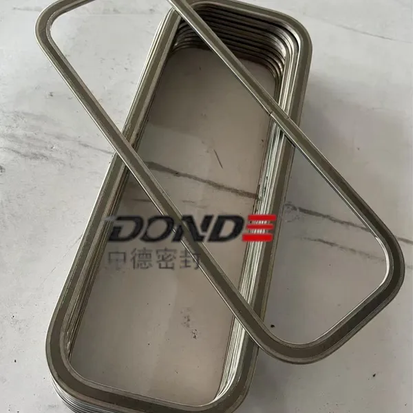 Reinforced Graphite Gasket
