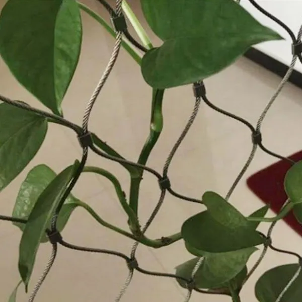Durable Stainless Steel Wire Rope Mesh Net Woven Braided Cable Mesh for Zoo Bird Cage Protection photo-4
