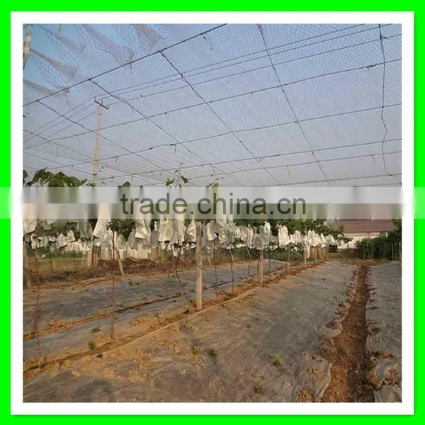 Anti Bird Net for Shrimp Pond Cover/vineyard Bird Mesh photo-6