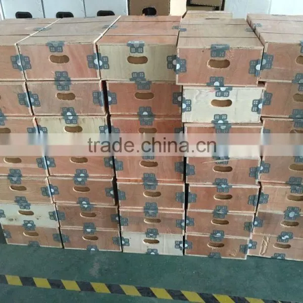 4inch Submersible Solar Pump (6.5cbm/hr-98m-1 Kw) Quality Choice photo-3