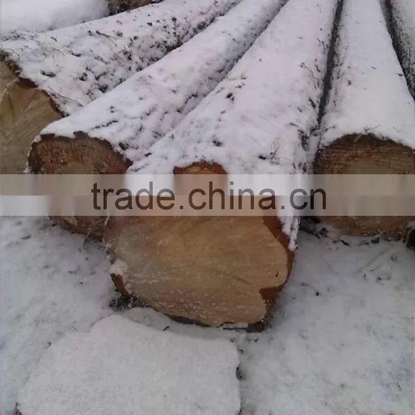 Russian Birch Logs